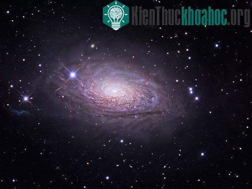 Những "kẻ ăn thịt khổng lồ" trong vũ trụ ảnh 0