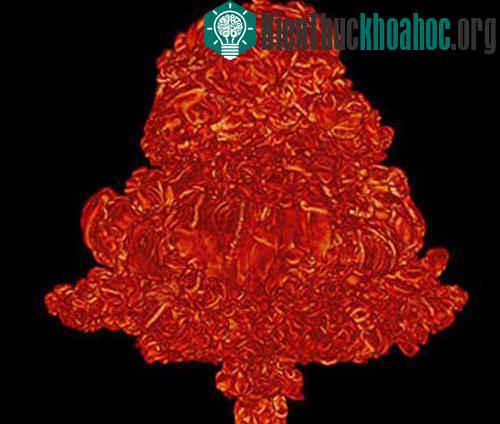 Khám phá bên trong ngôi sao "hấp hối" ảnh 5