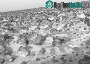 (Ảnh: Sciencedaily)