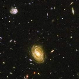 (Ảnh: NASA/Handout/Reuters)