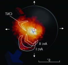 (Ảnh: Physorg.com)