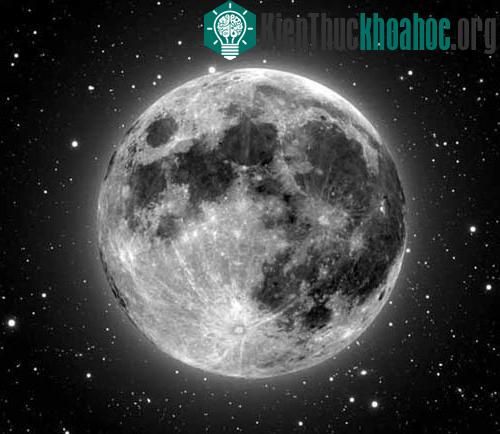 Nhiều nghiên cứu đã cố gằng tìm ra mối liên hệ giữa kỳ trăng tròn vài hành vi của con người và động vật nhưng ít có được nghiên cứu đưa ra được kết luận.