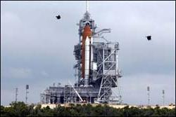 Năm 2007, NASA giảm chương trình phóng tàu con thoi ảnh 0