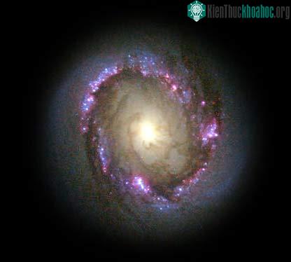 Kính thiên văn Hubble chứng minh lý thuyết hình thành hành tinh ảnh 1
