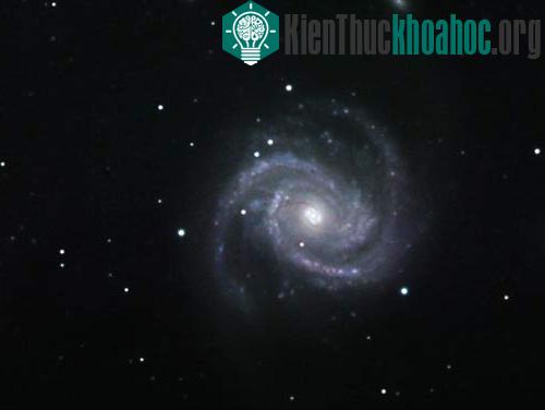 Coma Berenices