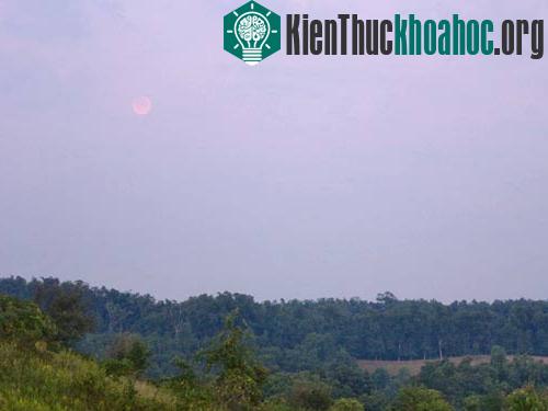 Nguyệt thực toàn phần ngày 28-08-2007 ảnh 5