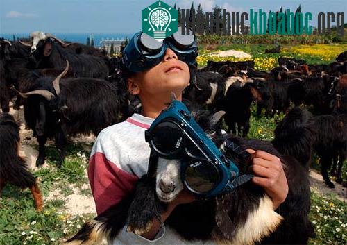 Những bức ảnh hay nhất 2006 về không gian ảnh 5