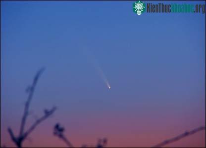 McNaught - sao chổi sáng nhất trong vòng 30 năm qua ảnh 5