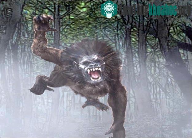 Quỷ hầu bí ẩn gây hoang mang dân chúng Mỹ khi tấn công con người ở những nơi hẻo lánh.