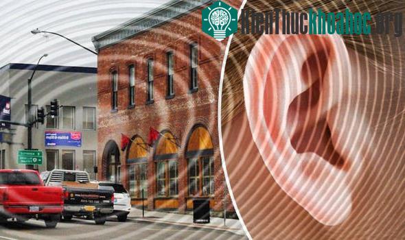 Một âm thanh chói tai đang làm cư dân Forest Grove vô cùng bối rối hoang mang.