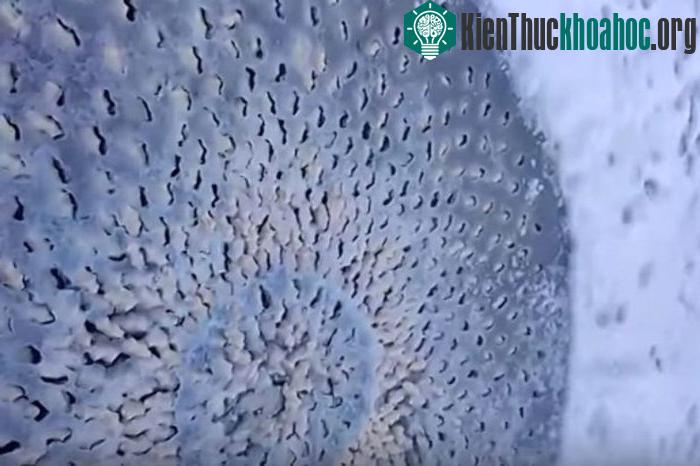 Những khối băng như những quả trứng màu đậm và nhạt đan xen nhau khác với băng xung quanh xuất hiện thành hình tròn giữa hồ nước đóng băng.