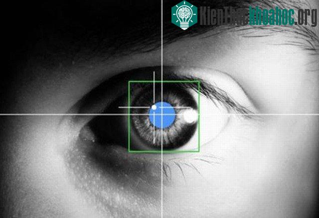 Bí ẩn về đôi mắt "giết người chỉ bằng một cái nhìn"