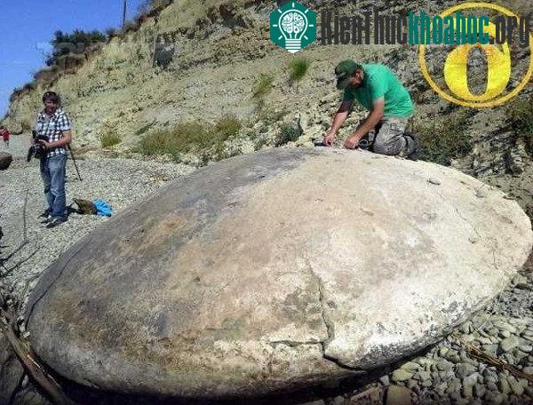 Khai quật được những mảnh vỡ được cho là thuộc về một UFO? (Nguồn: ibtimes).