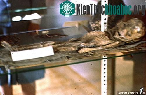 Bức ảnh chụp người ngoài hành tinh vừa được công bố.