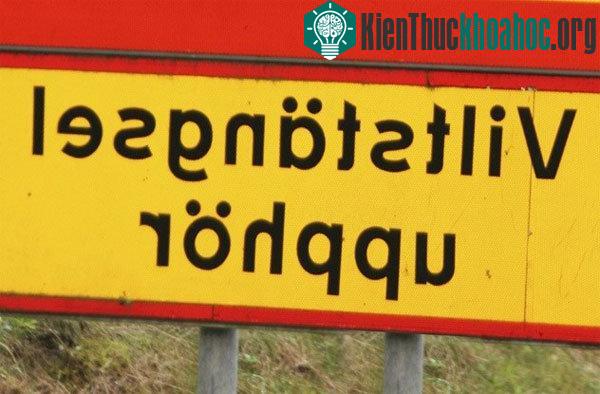 Một người phụ nữ ở Mỹ có thể nói tiếng Thụy Điển dù chưa tiếp xúc nhiều với nó. (Ảnh minh họa: wordpress.com)