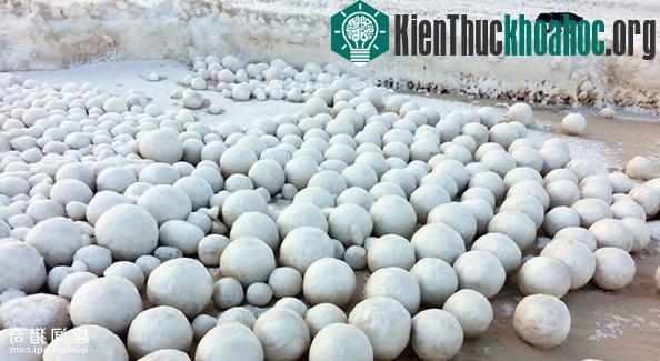 Những quả cầu tuyết tròn như thể được con người tạo ra. (Ảnh: Siberian Times).