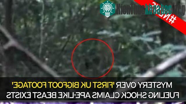 Jason tin rằng, đây là lần đầu tiên hình ảnh Bigfoot xuất hiện ở Anh.