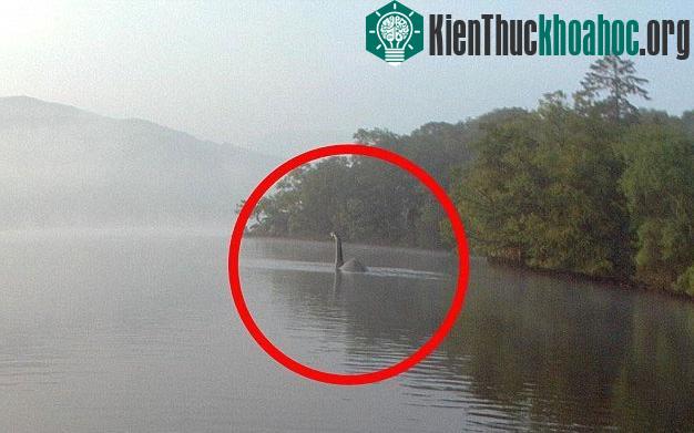 Bức ảnh của cô Ellie. (Ảnh: Rex)