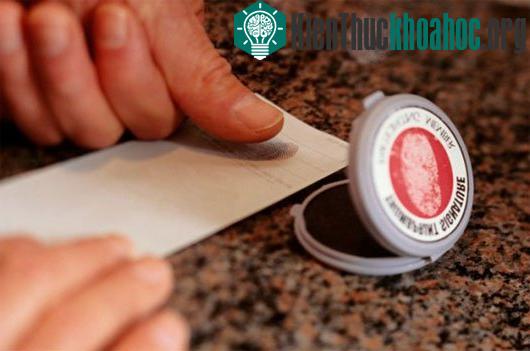 5 câu hỏi không có lời giải đáp về cơ thể con người