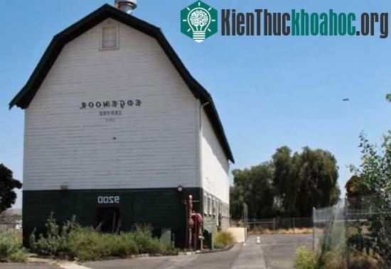UFO xuất hiện ở bên trái, phía trên các cây trong bức ảnh mà bà Ellen Henry chụp ở nông trại Edgemoor Barn hôm 7/5. (Ảnh: Huffington Post)