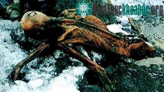 Xác ướp Otzi được bảo quản nguyên vẹn trong băng