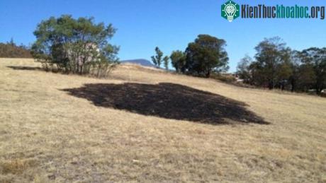 Một vạt cỏ bị thiêu rụi bởi vụ hỏa hoạn tại thị trấn Claremont, bang Tasmania, Australia hôm 2/3.&nbsp;