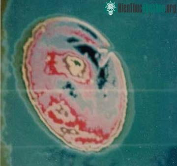 Một bức ảnh được làm đậm màu chụp UFO xuất hiện ở Bendigo. (Nguồn: Kho tài liệu quốc gia Australia)