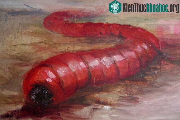 Quái vật Worm