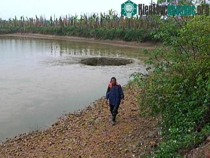 Ông Yang đã mất trắng hồ cá trị giá 1,8 tỷ VNĐ.