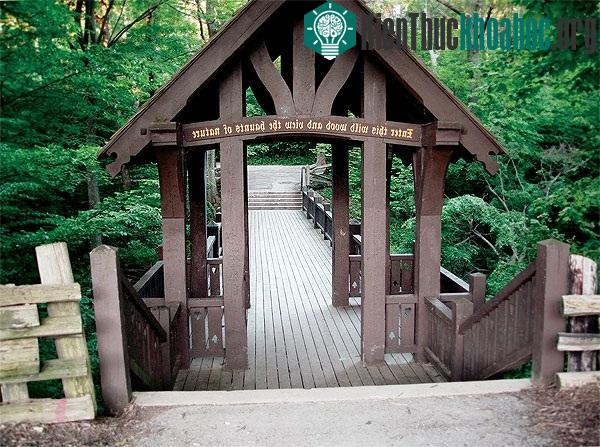 Cầu bị ma ám trong công viên Grant Park