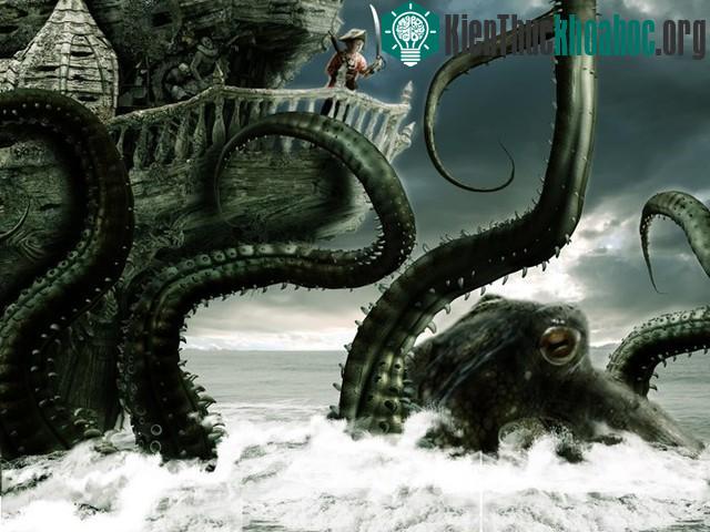 Quái vật Kraken có thật