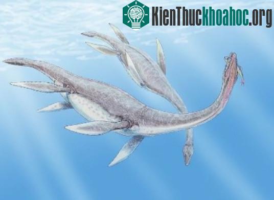 Một ngày xuân năm 1802, một nông dân đang cắt cỏ bên hồ bỗng thấy một con quái vật nhô đầu khỏi mặt nước, bơi bằng một chiếc vây chân to và ngắn, sau đó biến mất.. Xem thêm tại đây