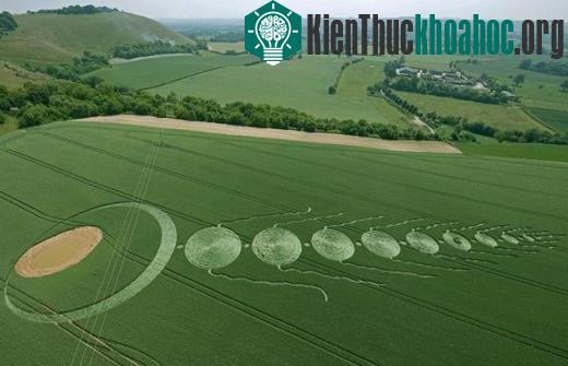 Những điểm đến “ưa thích” của UFO