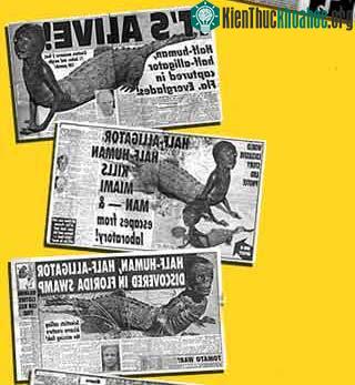 Các bài báo về Người cá sấu trên tuần báo World Weekly News từ năm 1993-1997