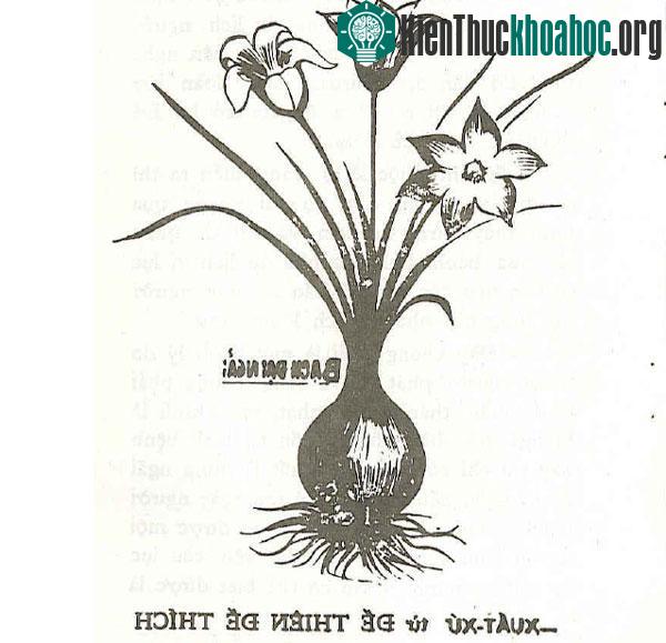 Khám phá thế giới bùa ngải thời cổ đại