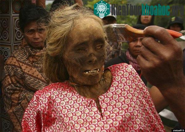 Người Tana Toraja đặt quan tài trên vách đá vôi dựng đứng
