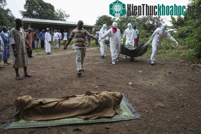 Bà Vanga đã tiên đoán chính xác về đại dịch Ebola năm 2014.