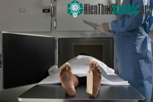 Chuyện lạ về kẻ sát nhân "đi ngược" thời gian