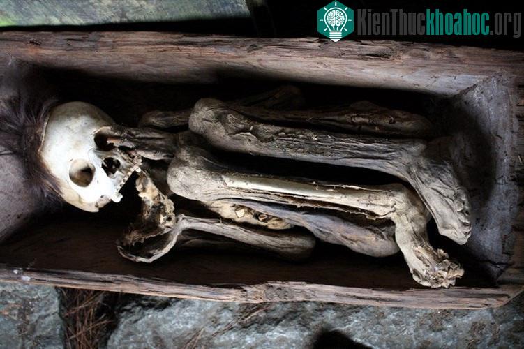 Phong tục này đã được người Ibaloi thực hiện rất lâu trước khi thực dân Tây Ban Nha đến xâm lược Philippines. Việc ướp xác được tiến hành trong một nghi lễ kéo dài và chỉ dành cho những người thuộc...