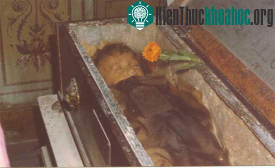 Xác của Rosalia được bảo quản trong hầm mộ Capuchin ở Palermo (Italy)&nbsp;