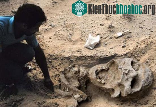 Liệu đây có phải là thứ được nhắc đến trong câu chuyện của Hill, hay chỉ&nbsp;là sản phẩm hư cấu của con người?