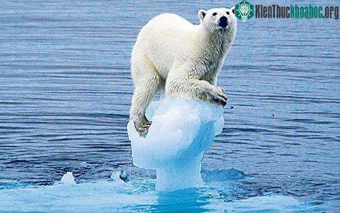 Giới khoa học cho rằng, biến đổi khí hậu mới chính là mối đe dọa&nbsp;con người hiện hữu nhất, do đó loài người hãy đứng lên bảo vệ &nbsp;môi trường và sự sống của chính mình hơn là đặt niềm tin và...