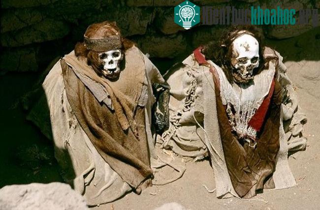 những xác ướp 1.000 tuổi này có xương quai hàm mở như nở một nụ cười khó hiểu, tóc vẫn còn rất nhiều và... mềm nữa