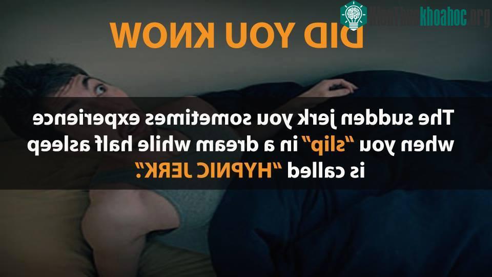 Sự thật thú vị