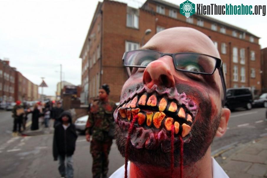 Zombie không thể nhai