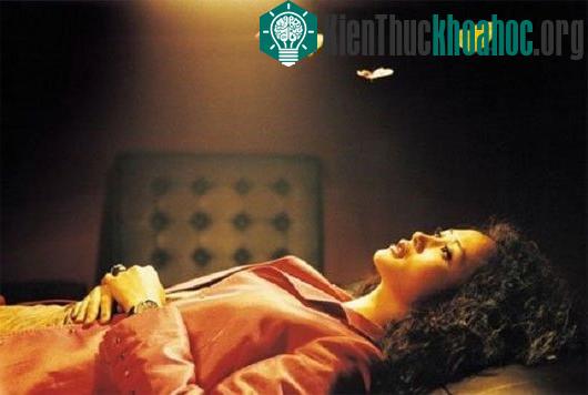 Vòng luân hồi: Tìm lời giải chuyện có một hay nhiều... kiếp sống
