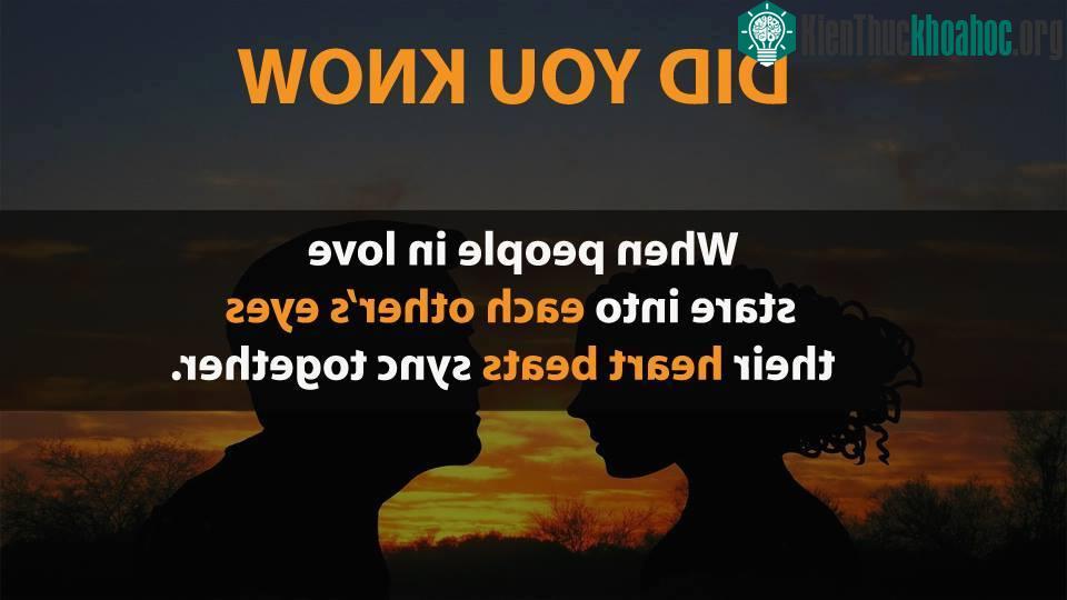 Sự thật thú vị