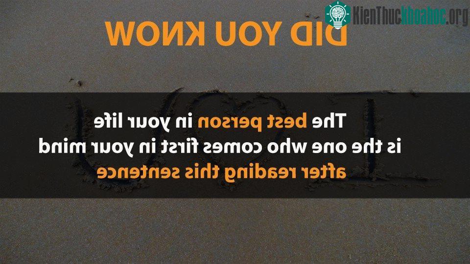 Sự thật thú vị