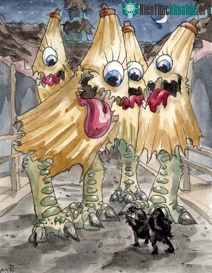Ma ô