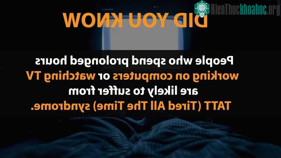 Sự thật thú vị